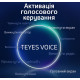 Voice control module Teyes (activation)