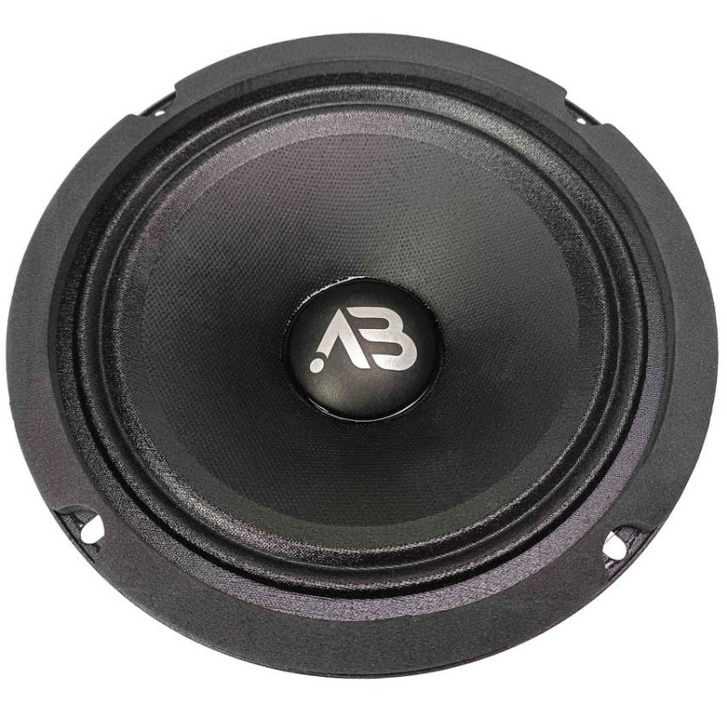 Mid-range speaker AudioBeat Forte FM65