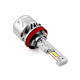 LED bulb AMS ORIGINAL-F H8/H9/H11/H16JP 5500K CANBUS
