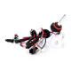Xenon headlight bulb SIGMA PRO H11 6000K
