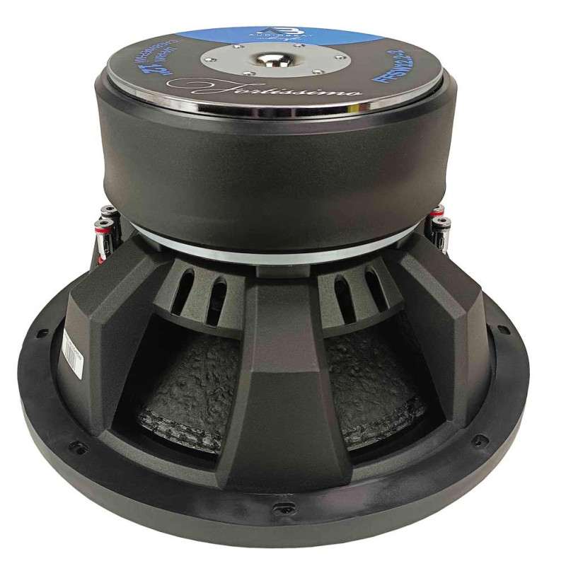Subwoofer speaker AudioBeat Fortissimo FFSW12.2-2