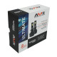 LED bulb AMS ULTIMATE POWER-F H4 H/L 5500K CANBUS